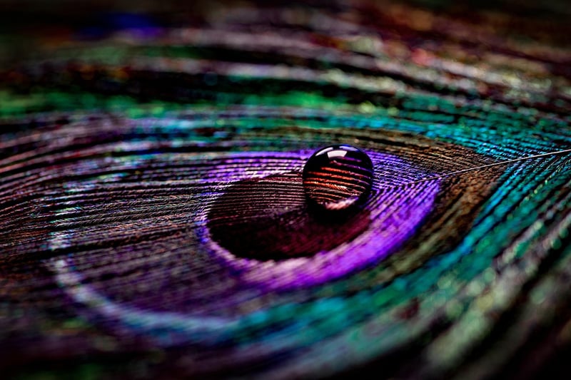 Unearthed Jewels